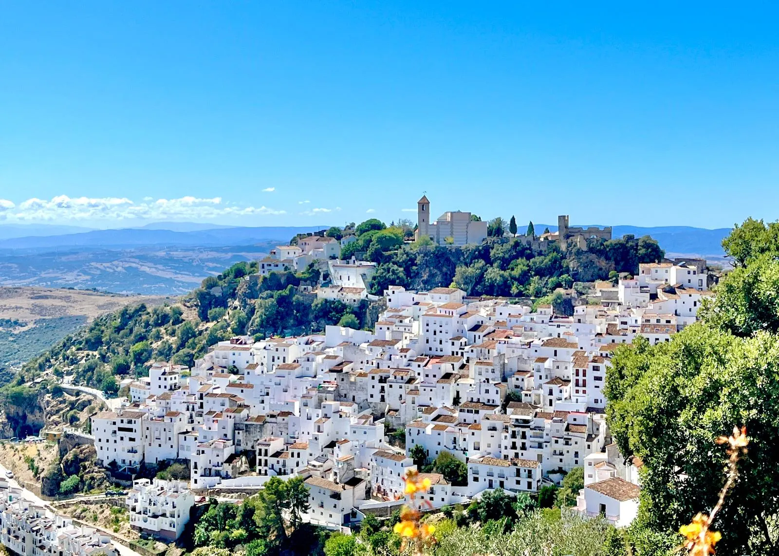 Casares